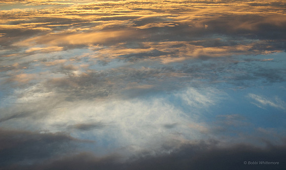 Soaring Reverie
